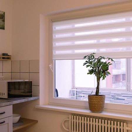 Visaginas Flat White Apartment ภายนอก รูปภาพ